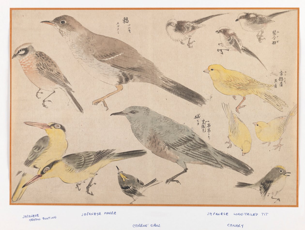 Birds in Okyo Style by Japanese School