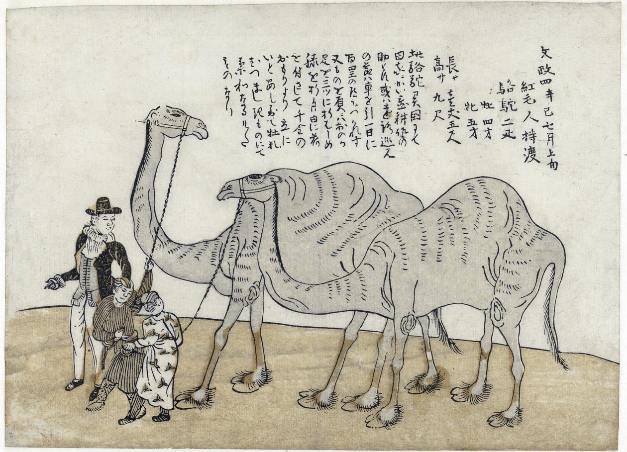 Camel with Handlers, 1821 by Japanese School