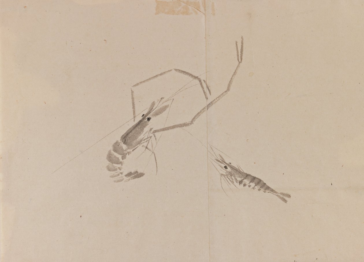 Drawing of two crayfish by Japanese School