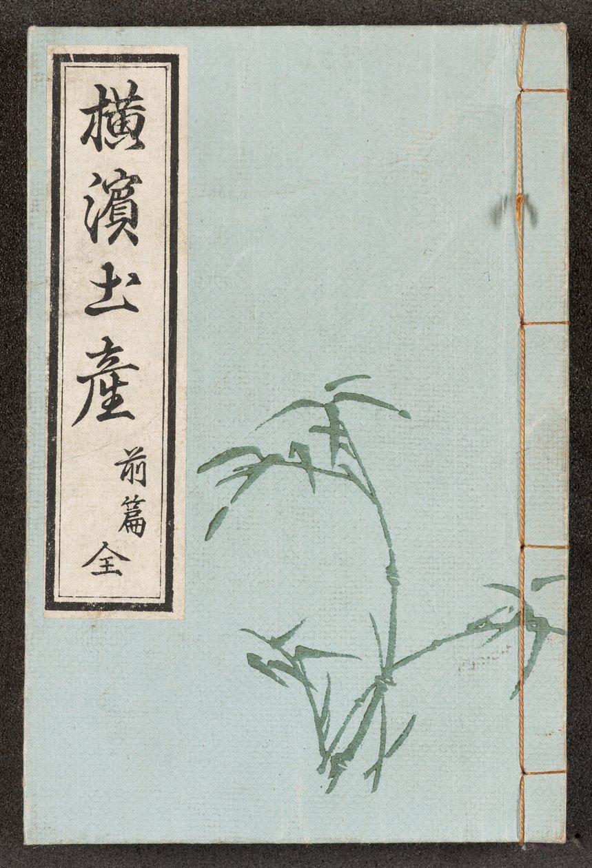 Front binding from Views of Yokohama by Japanese School