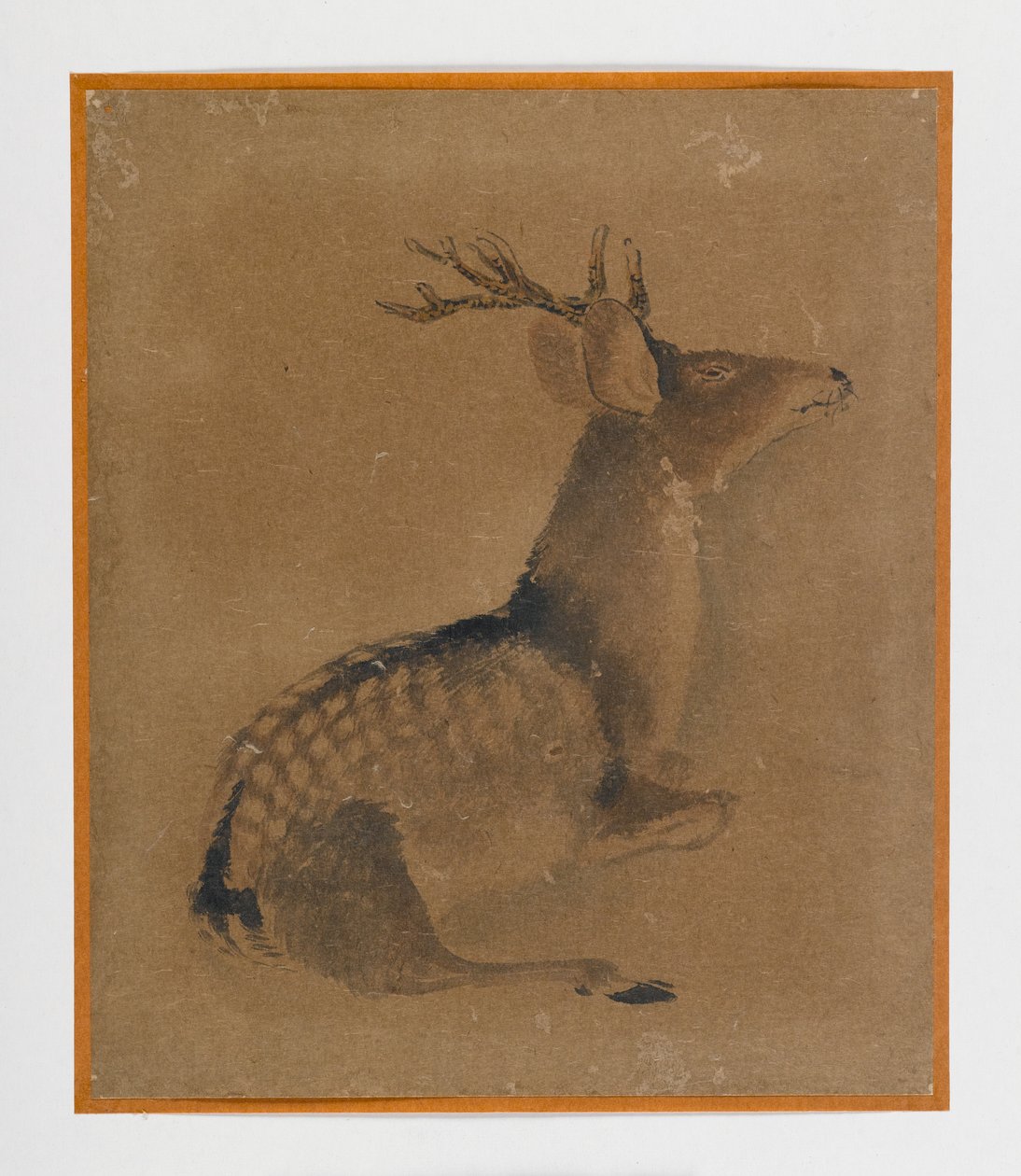 Recumbent deer by Japanese School