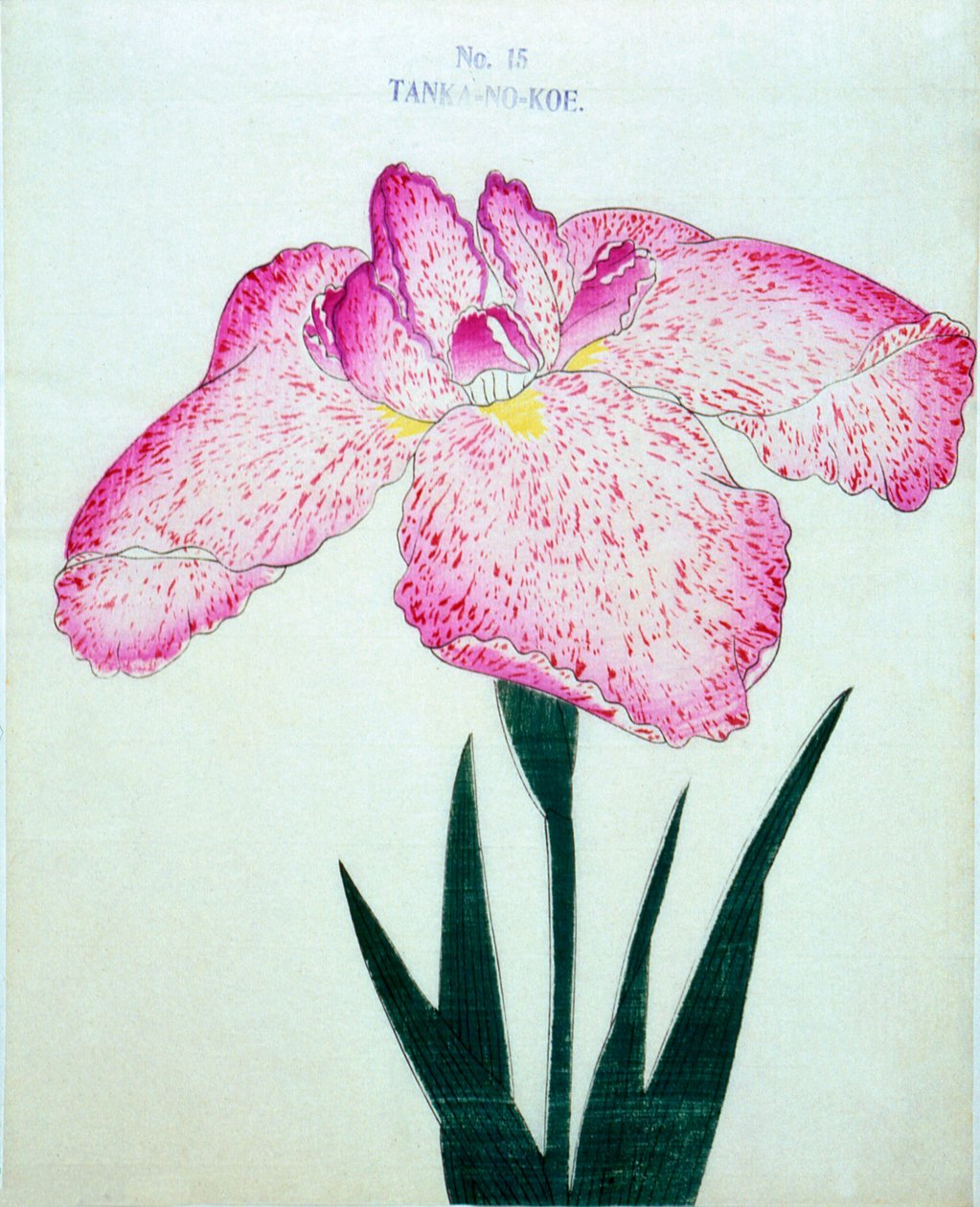 Tanka-no-Koe, no.15, 1898 by Japanese School