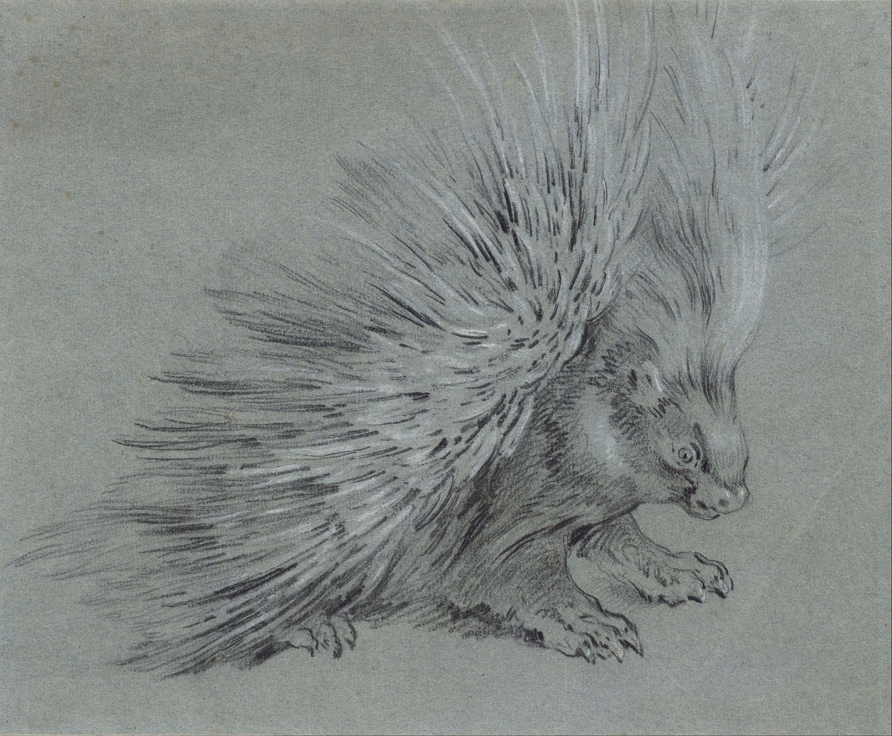 Porcupine by Jean Baptiste Oudry