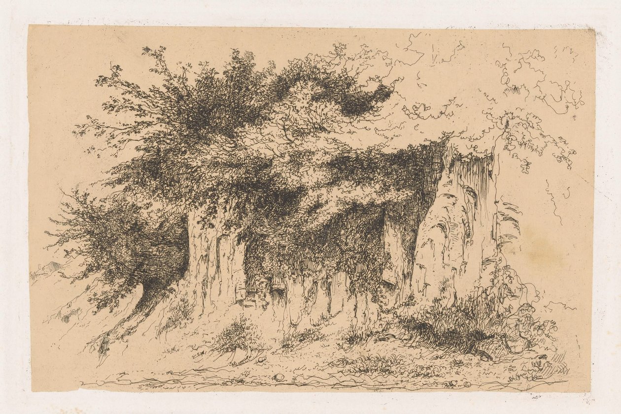 Bushes on an Earthen Wall by Jean Alexis Achard