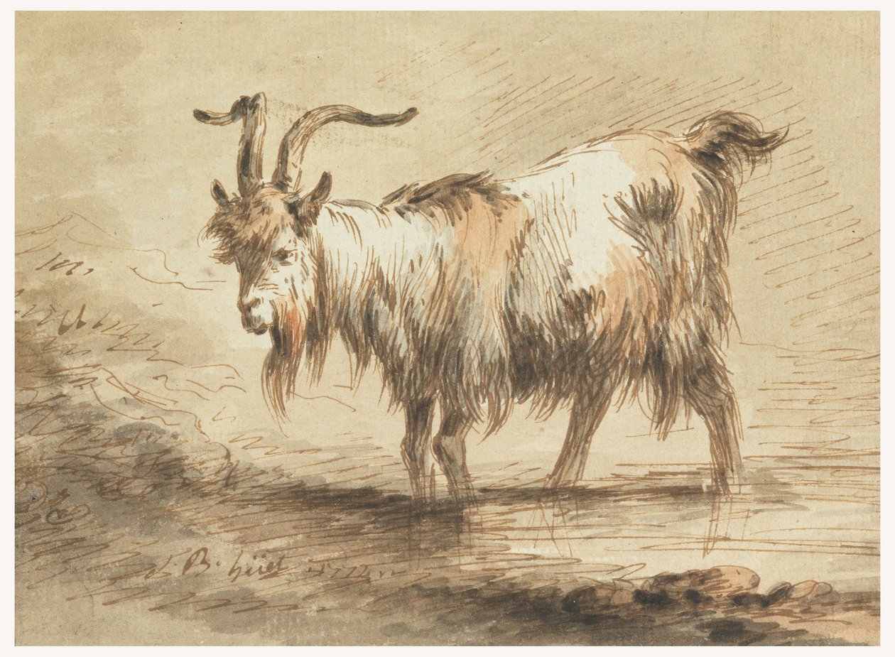 Study of a Goat, 1772 by Jean Baptiste Huet