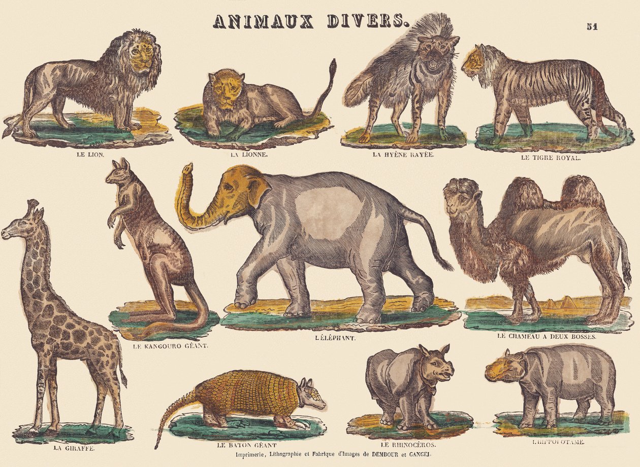 Various animals, c.1840-1852 by Jean Baptiste Thiebault