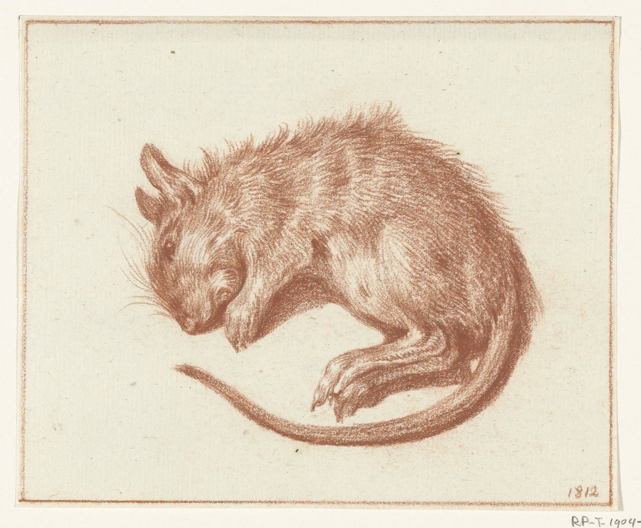 Dead Rat by Jean Bernard