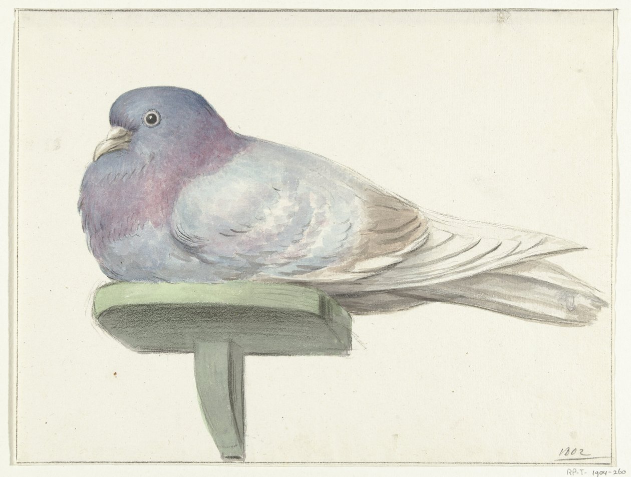 Dove Sitting on a Shelf by Jean Bernard