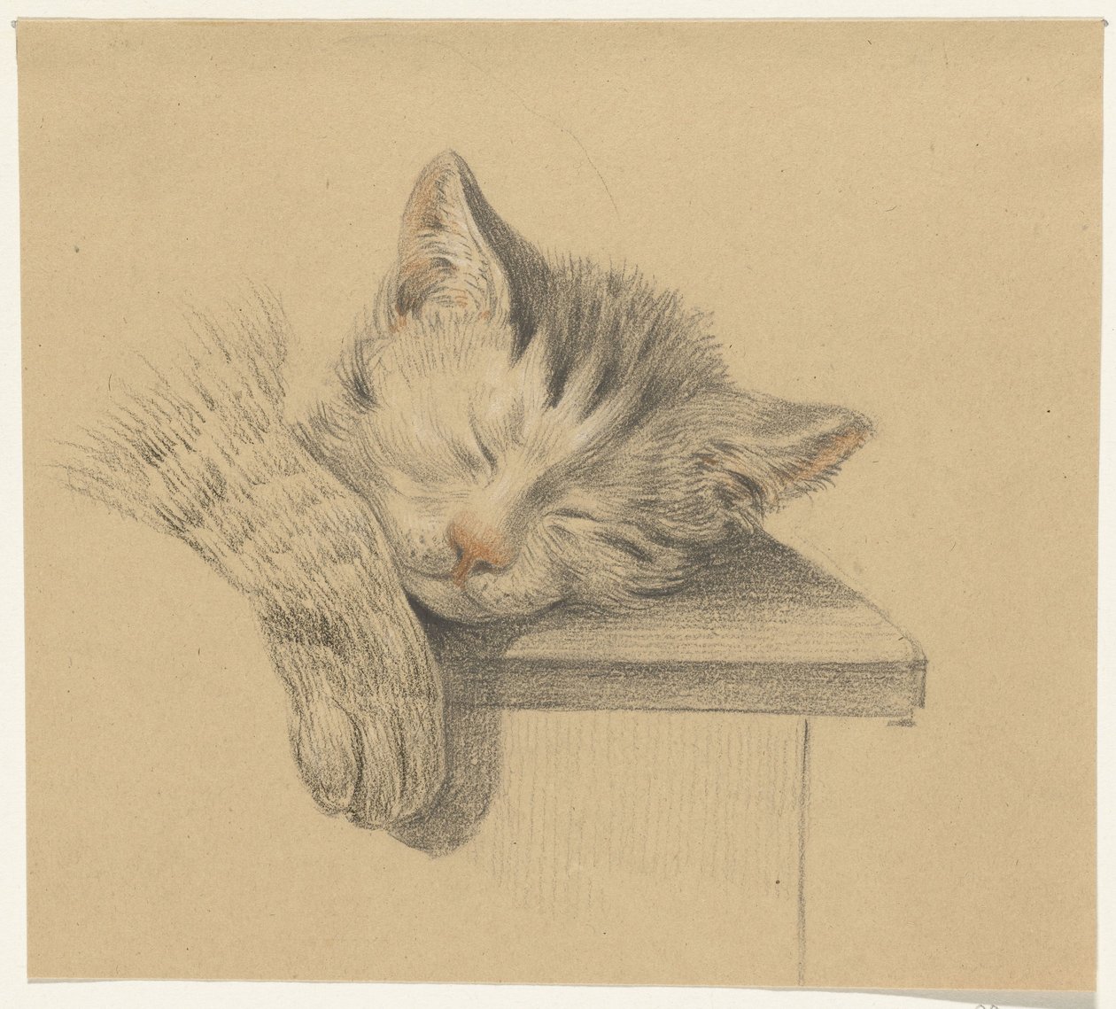 Head and Paw of a Sleeping Cat by Jean Bernard