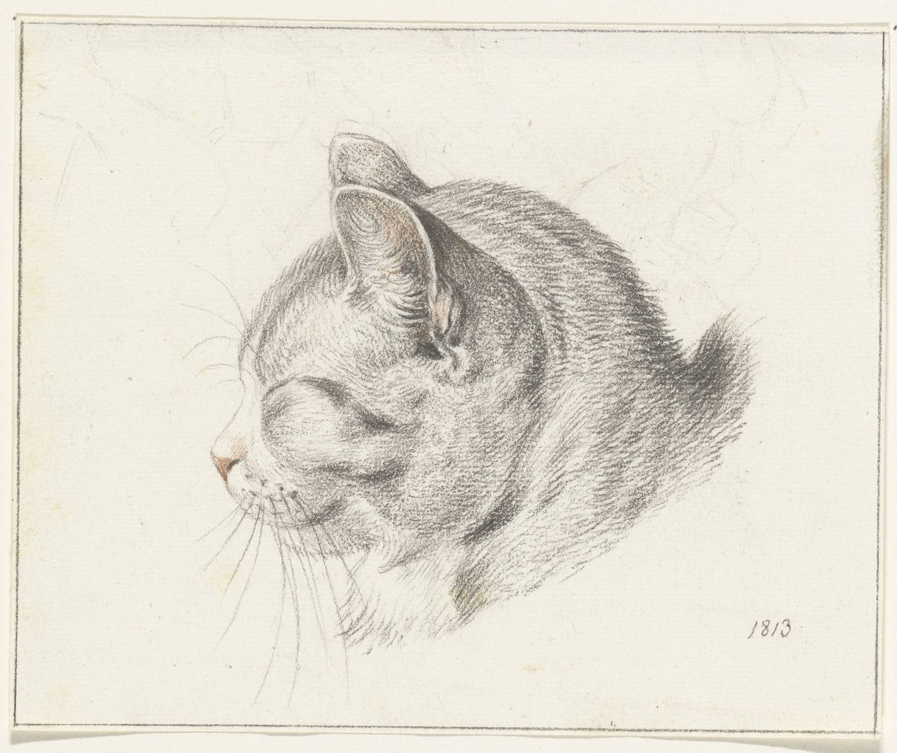 Head of a Cat, Facing Left by Jean Bernard