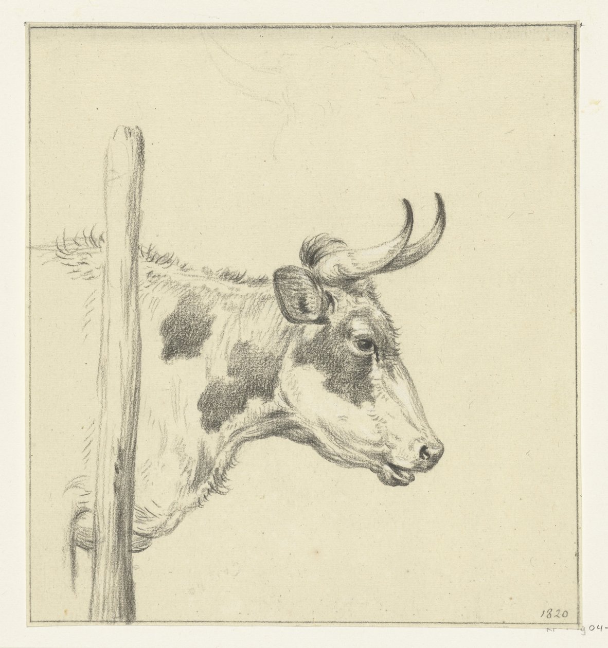 Head of a Cow, Facing Right by Jean Bernard