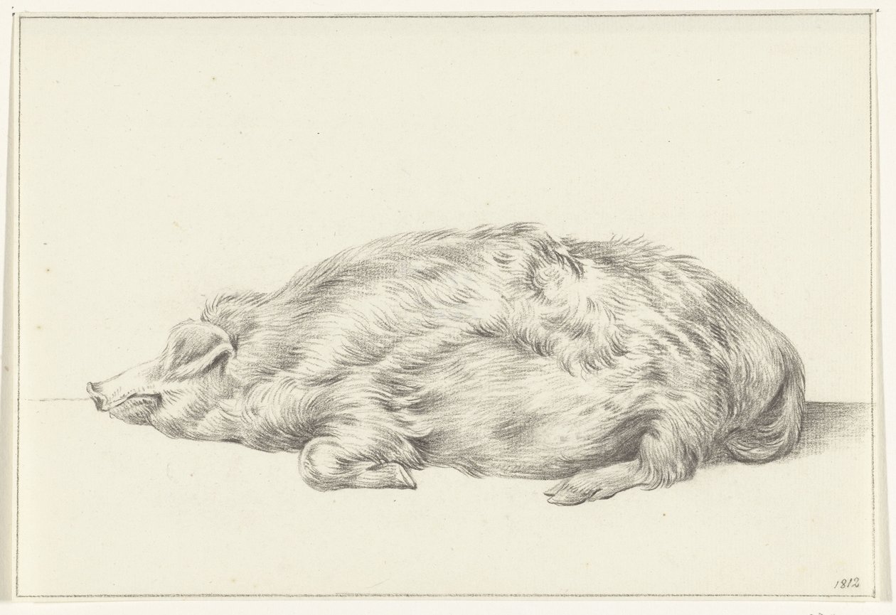 Lying Pig, Facing Left by Jean Bernard