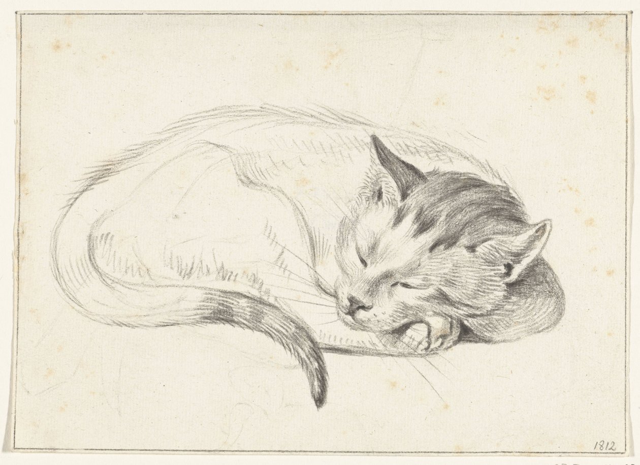Rolled Up Sleeping Cat by Jean Bernard