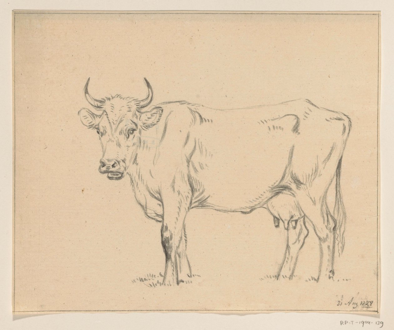 Standing Cow, Facing Left by Jean Bernard