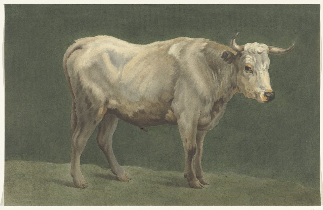 Standing Bull, Facing Right by Jean Bernard