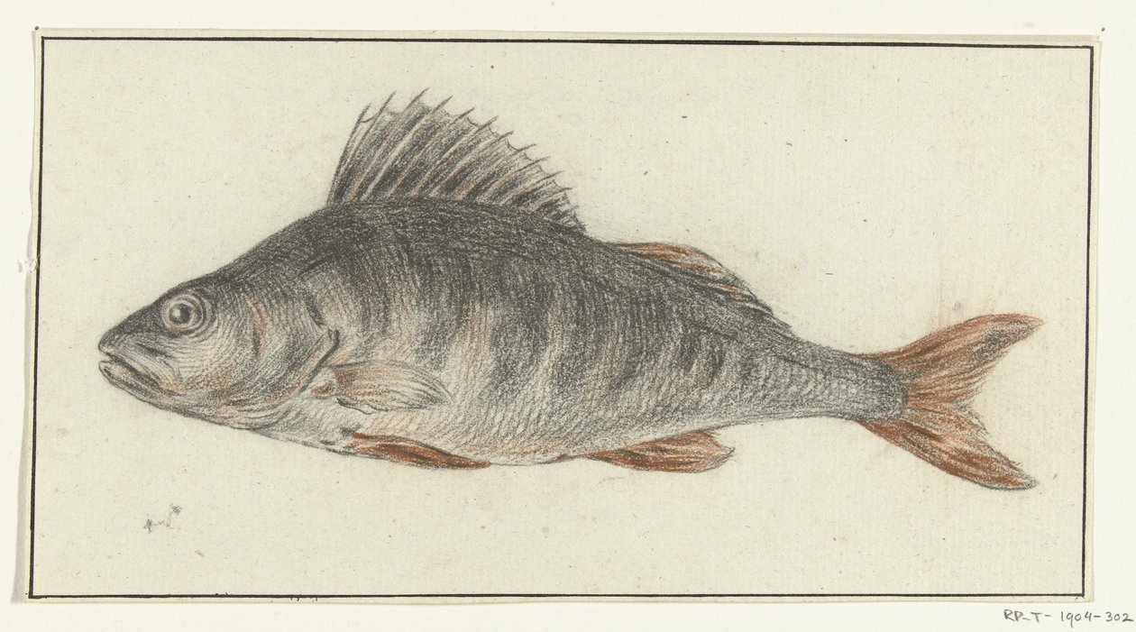Fish by Jean Bernard