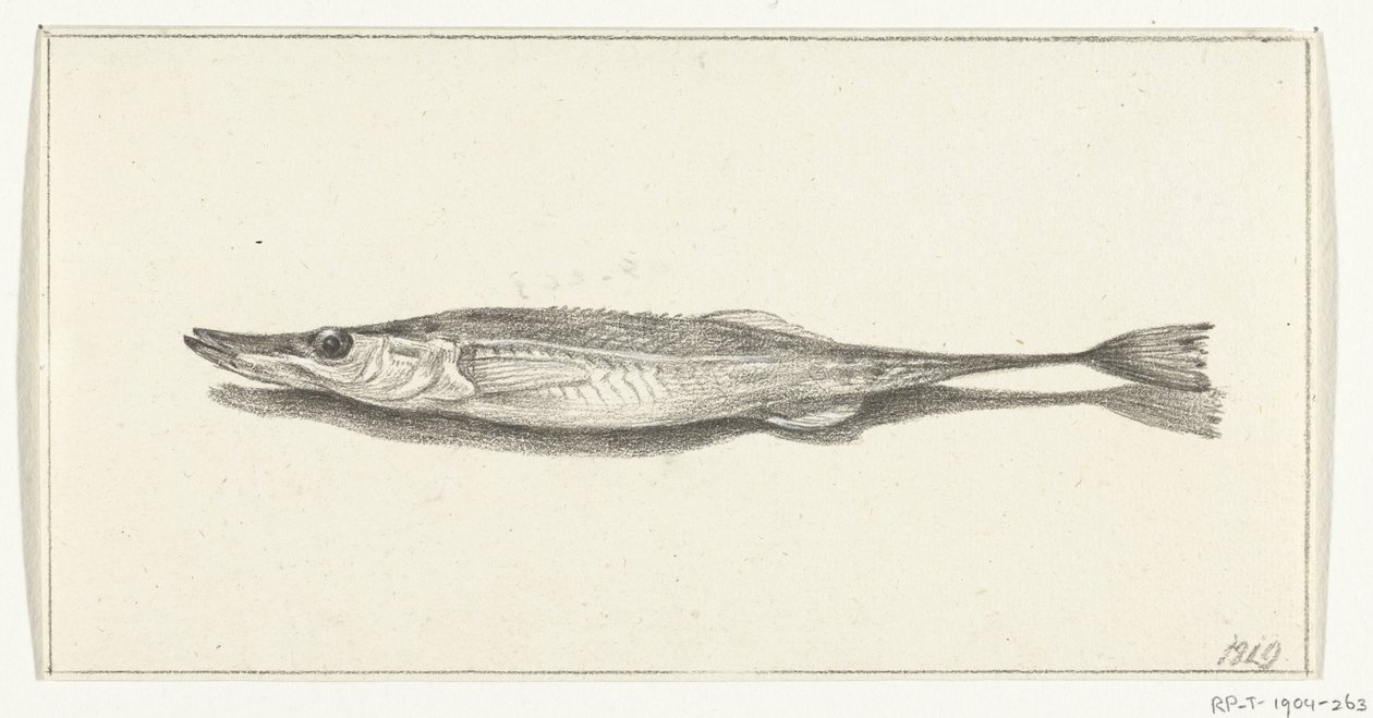 Fish by Jean Bernard
