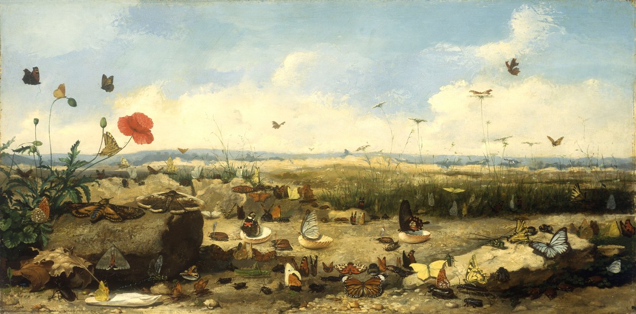 The Race of the Butterflies, 1872 by Jean Eugene Doneaud