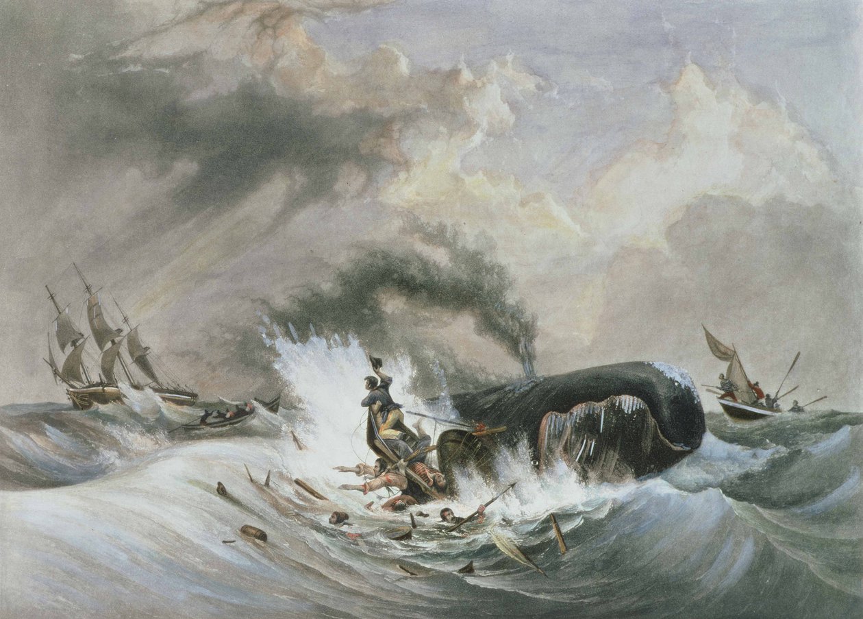 The Whale by Jean Francois (after) Garneray