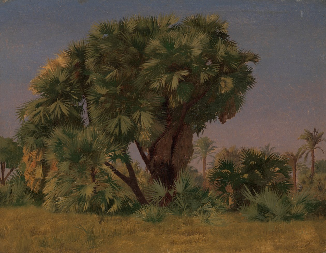 Study of Palm Trees by Jean Leon Gerome