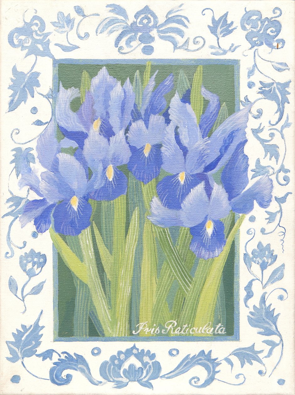 Blue Iris by Jennifer Abbott