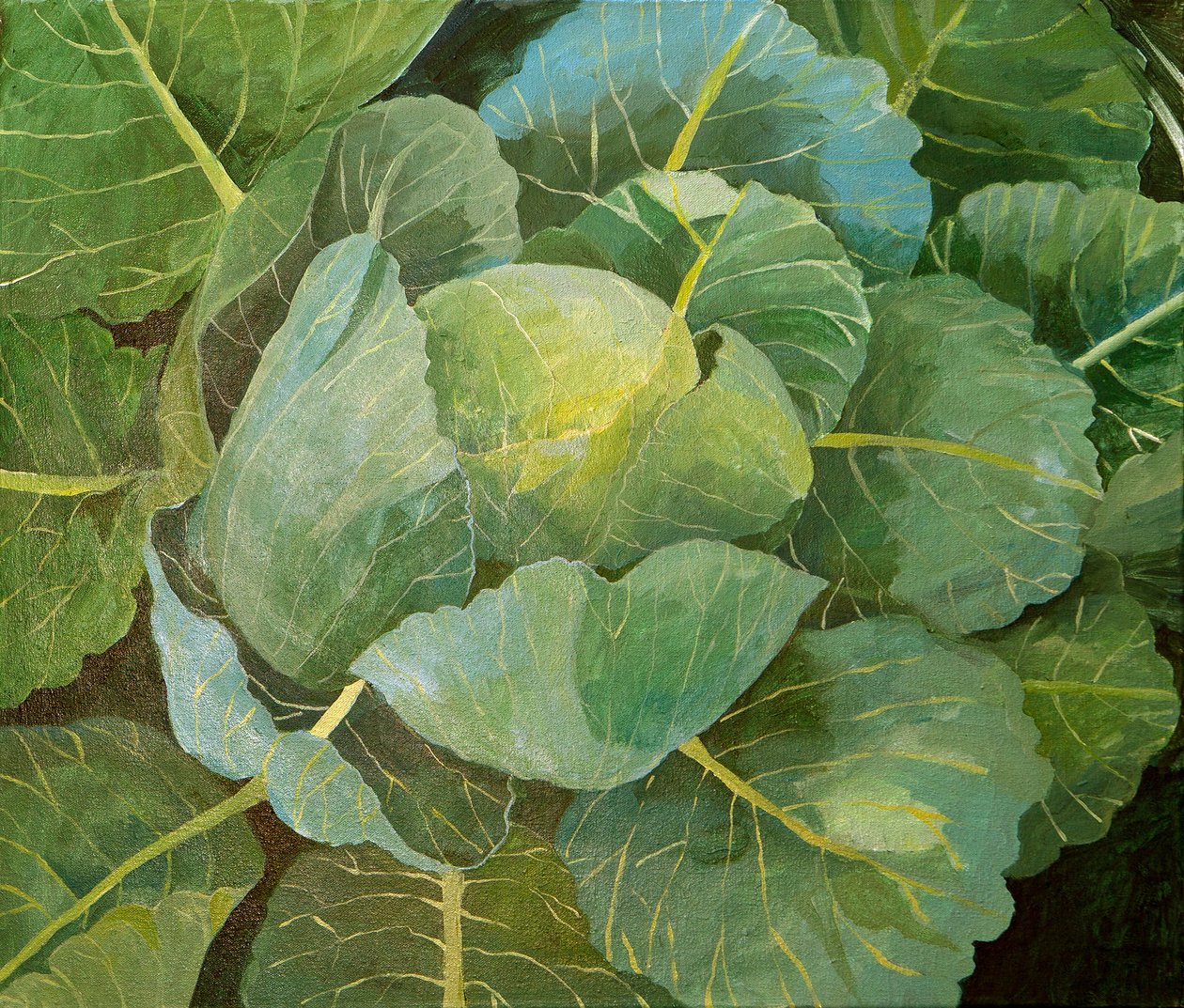 Cabbage (blue), 2014 by Jennifer Abbott