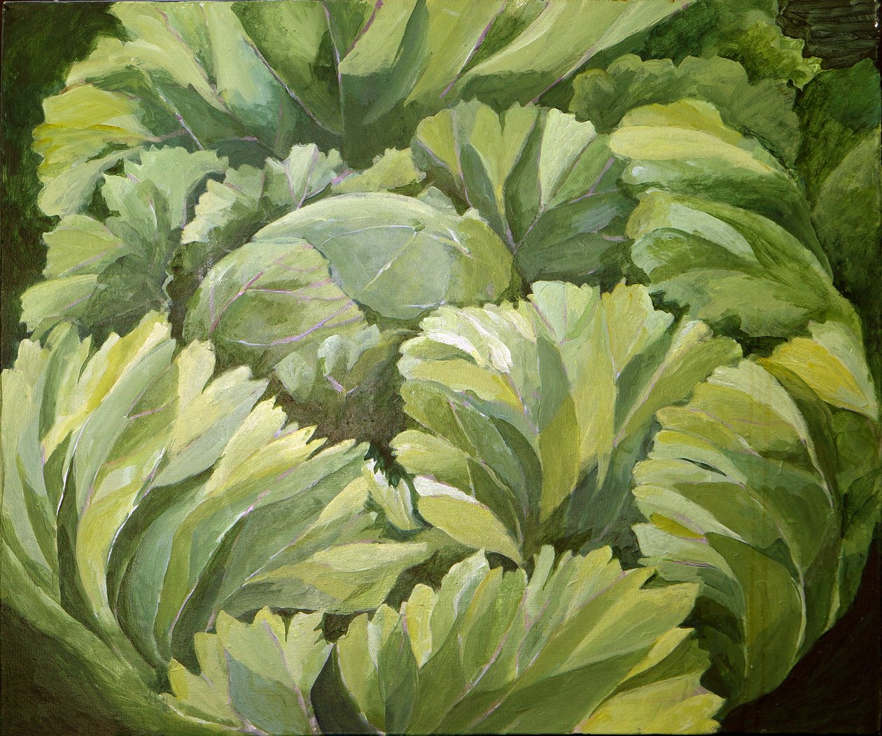 Cabbage, 2013 by Jennifer Abbott