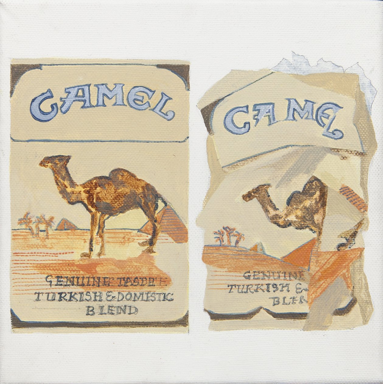 Camel Cigarette packs by Jennifer Abbott