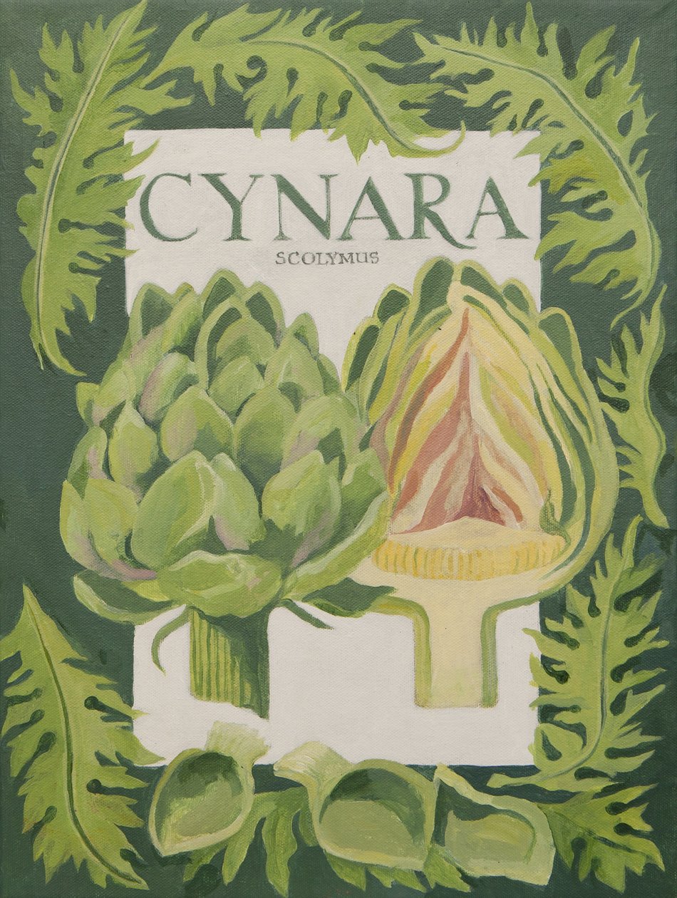 Cynara (globe artichoke) by Jennifer Abbott