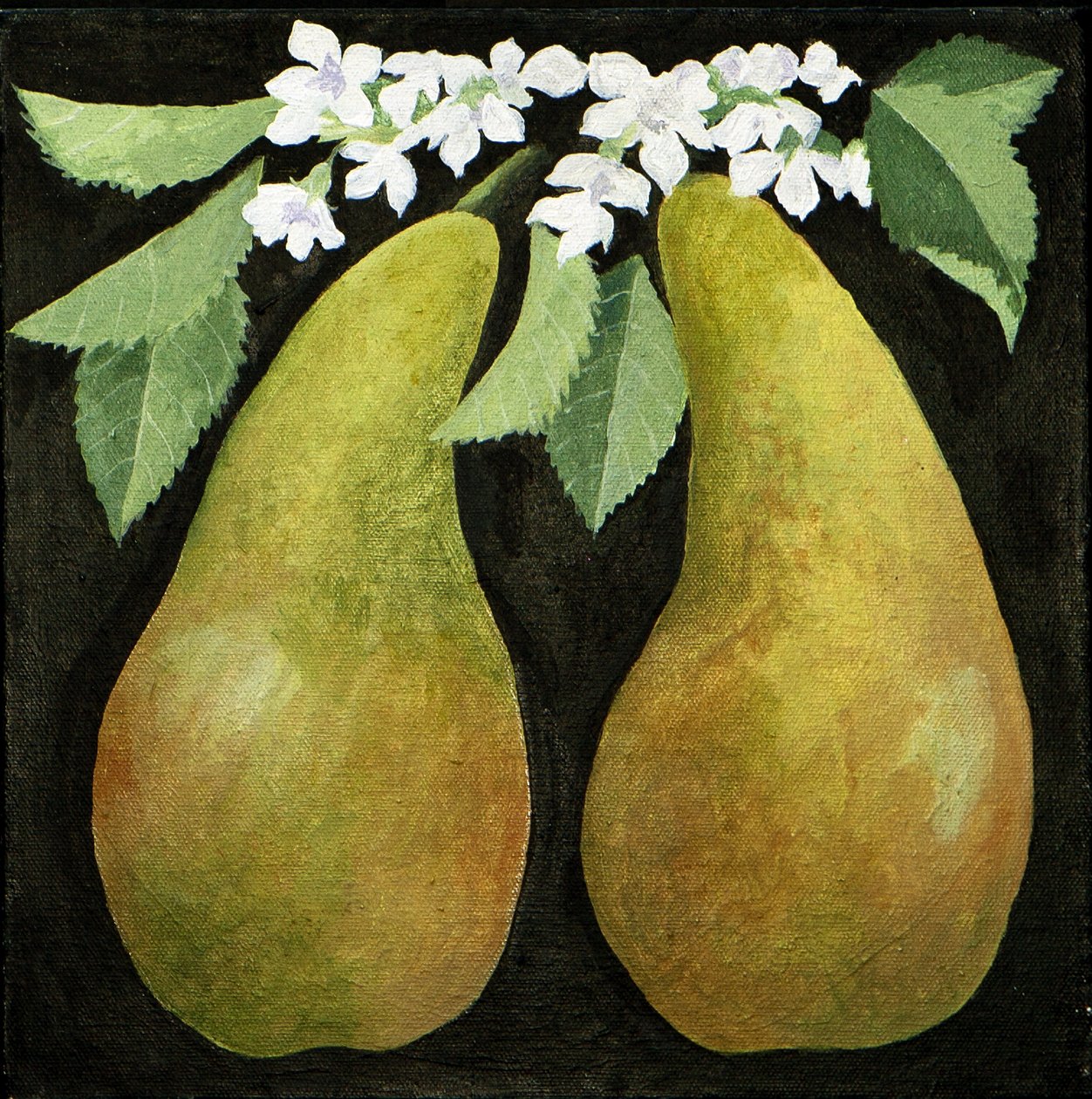 Pears by Jennifer Abbott
