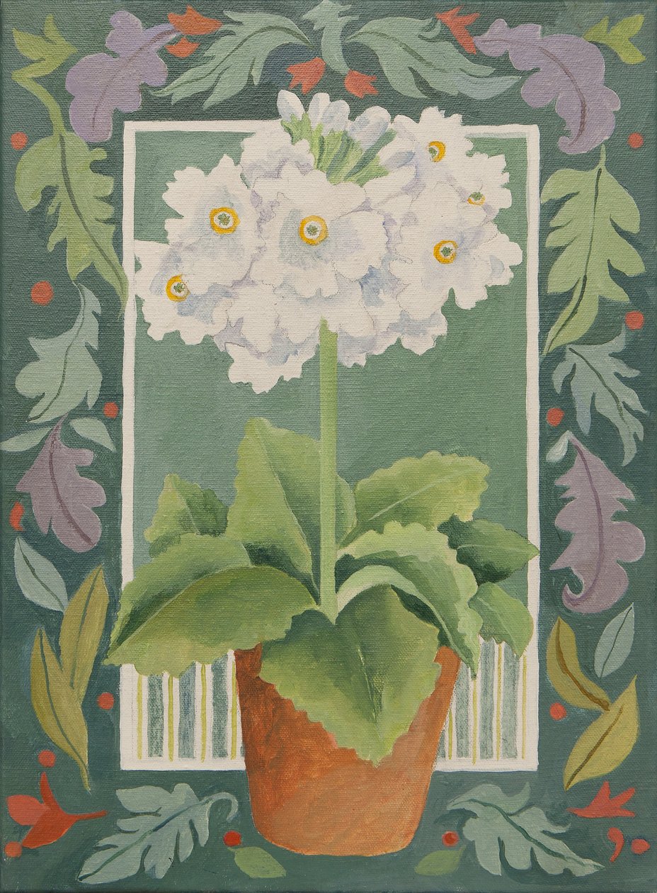 White Primula by Jennifer Abbott