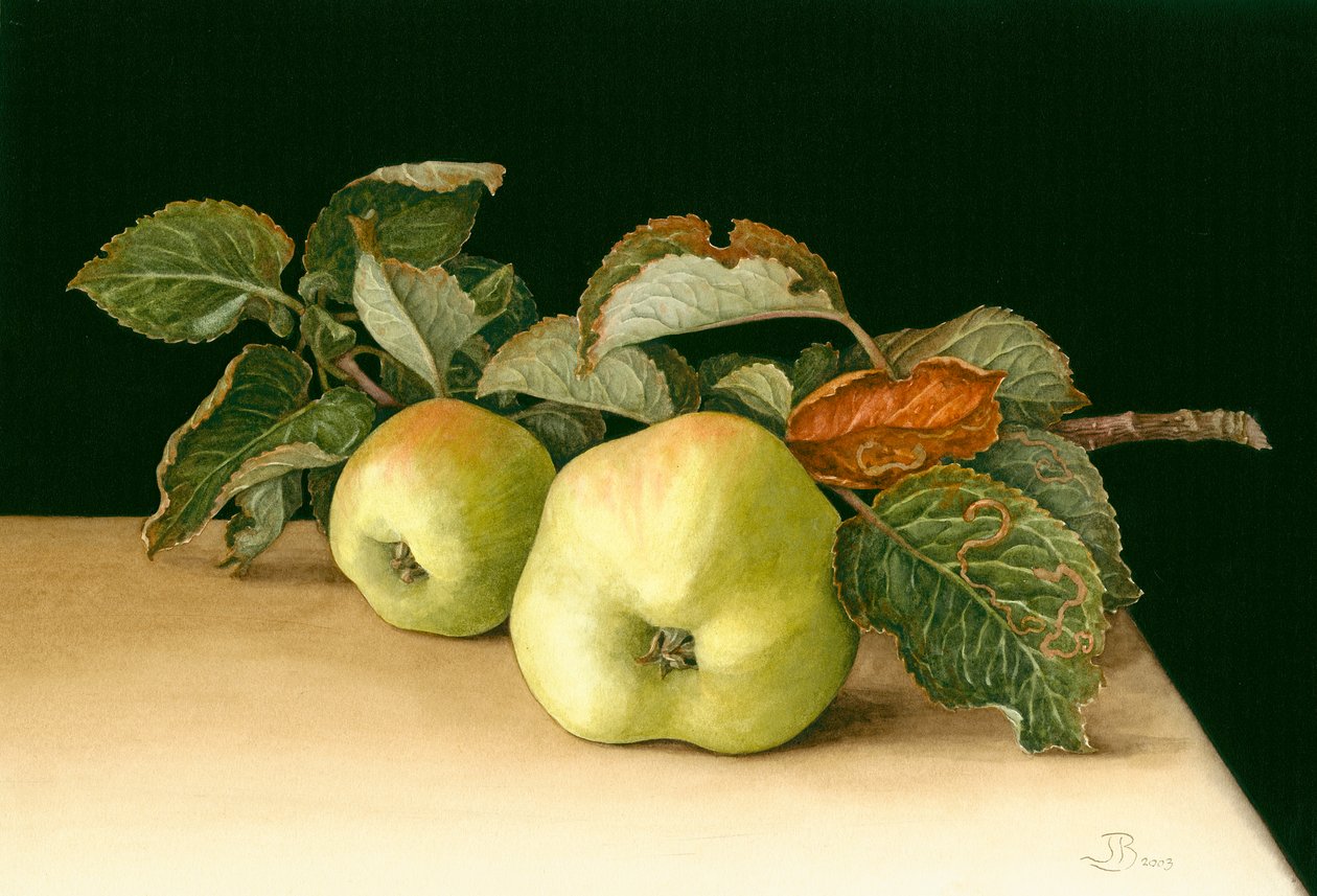 Bramleys by Jenny Barron