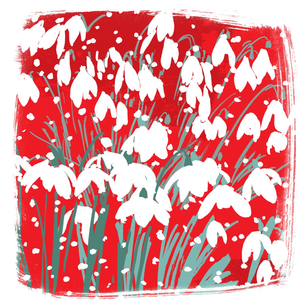 Snowdrops by Jenny Frean