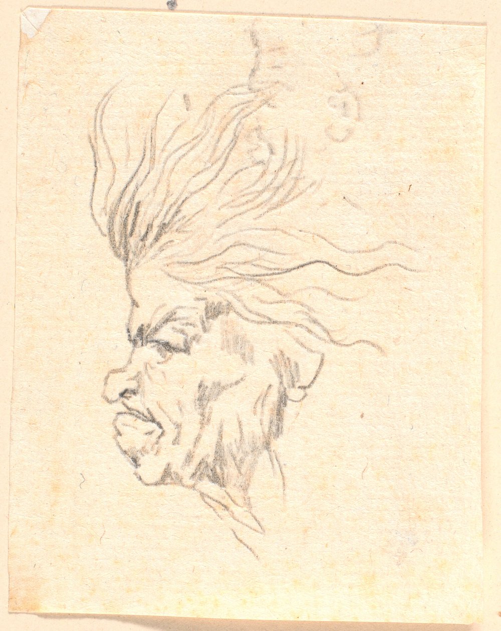 A Medusa-like Woman