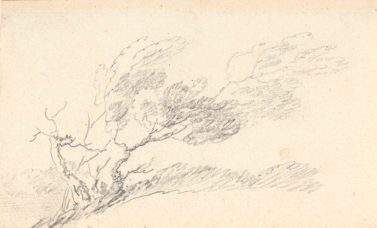 Study of Tree in Wind by Jens Juel