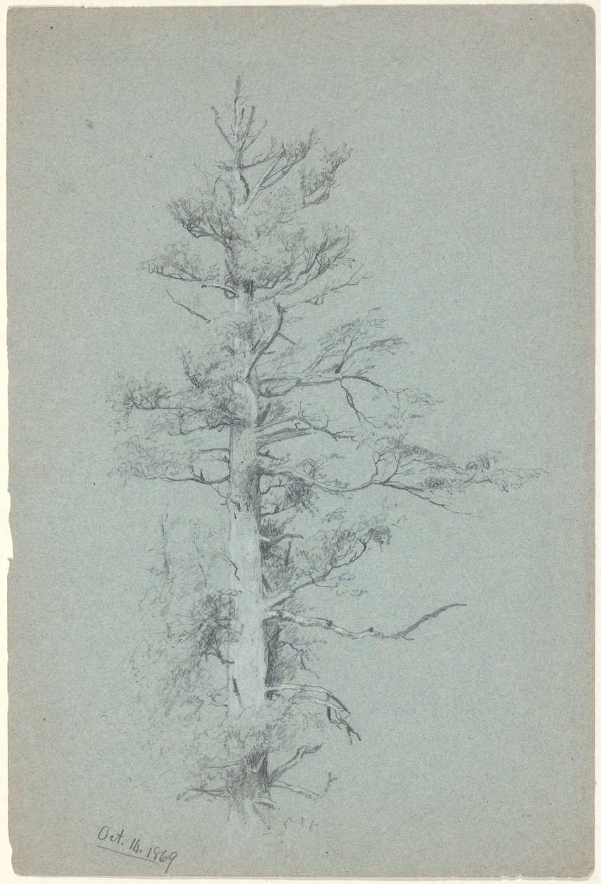 Tree Study by Jervis McEntee