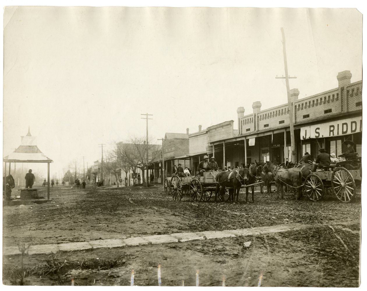 Arkansas 1903 by Jessie Tarbox Beals