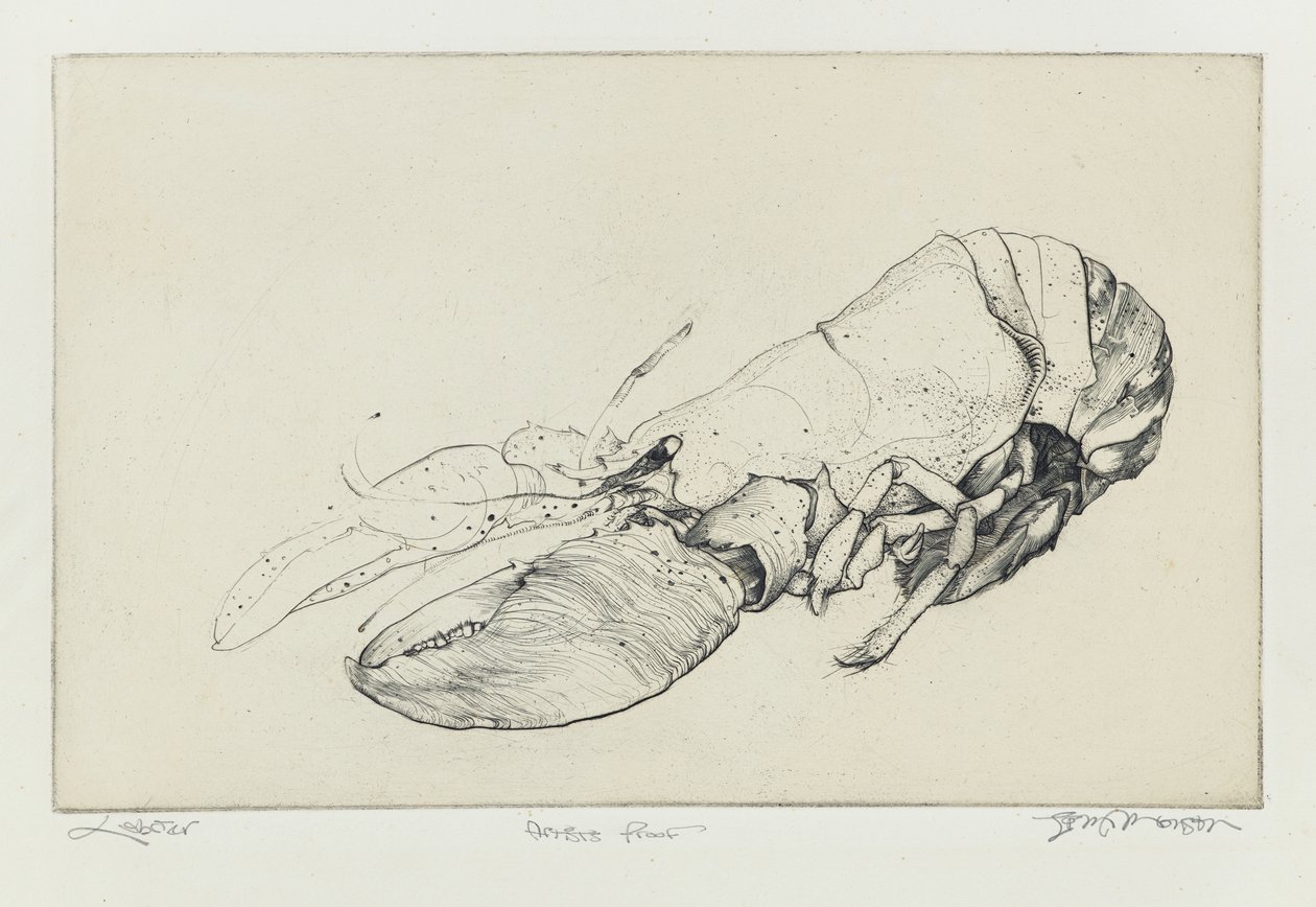 Lobster by Jim Monson