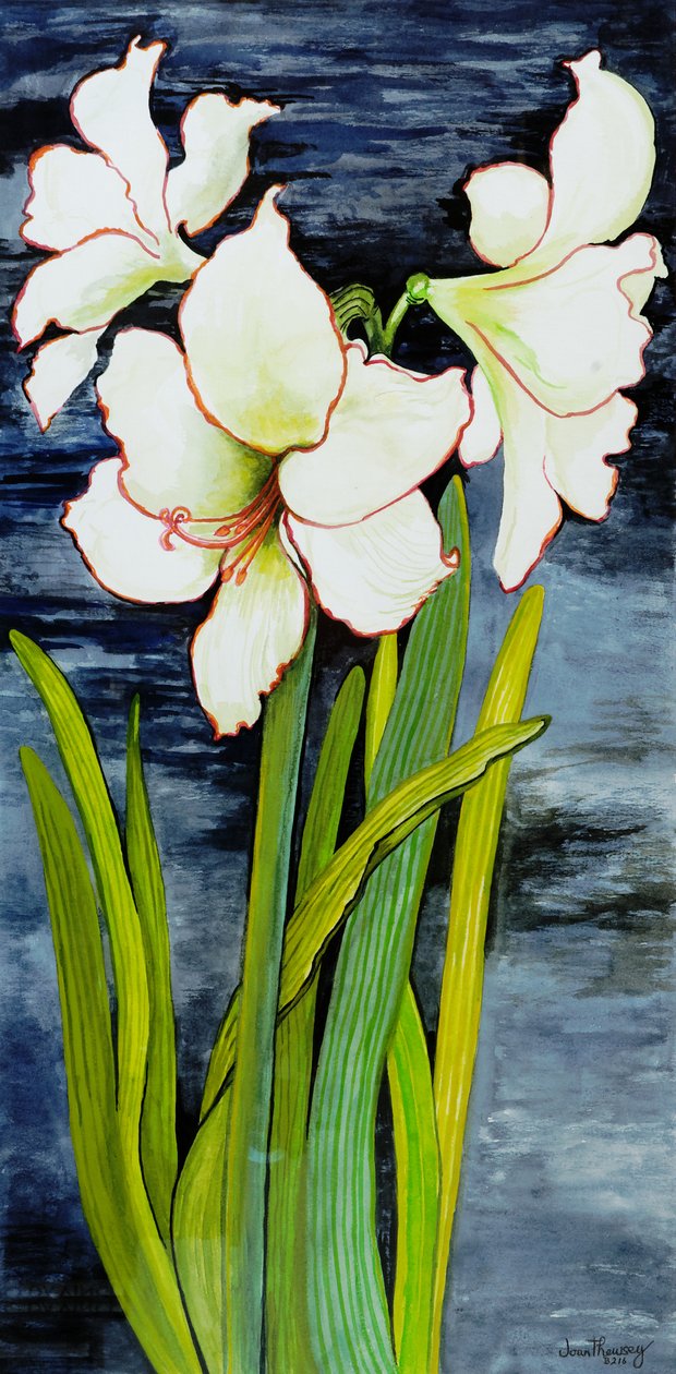 Amaryllis Against a Night Sky by Joan Thewsey