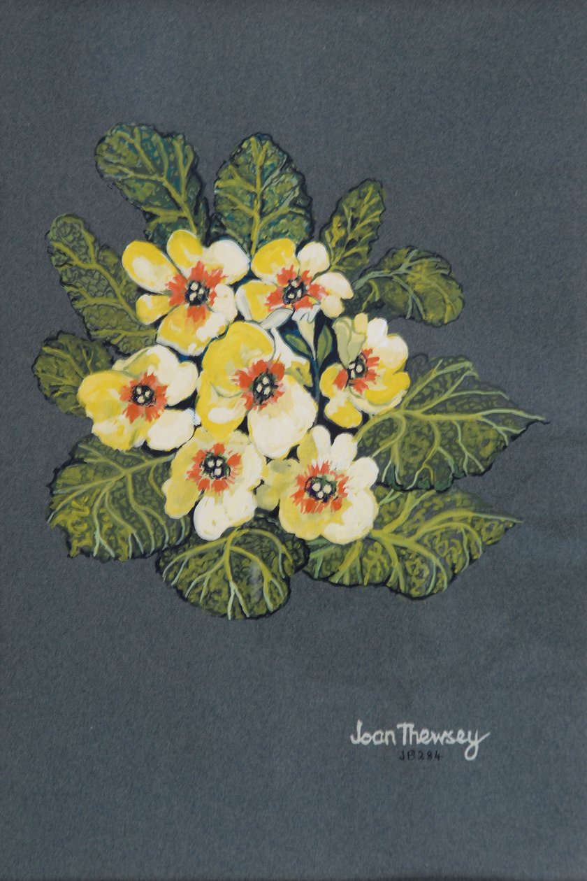 The Yellow Primrose by Joan Thewsey