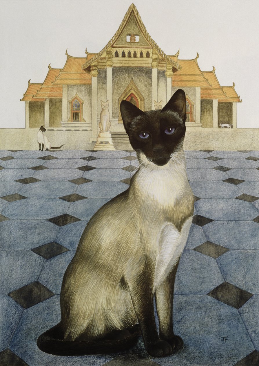 Siamese by Joan Freestone