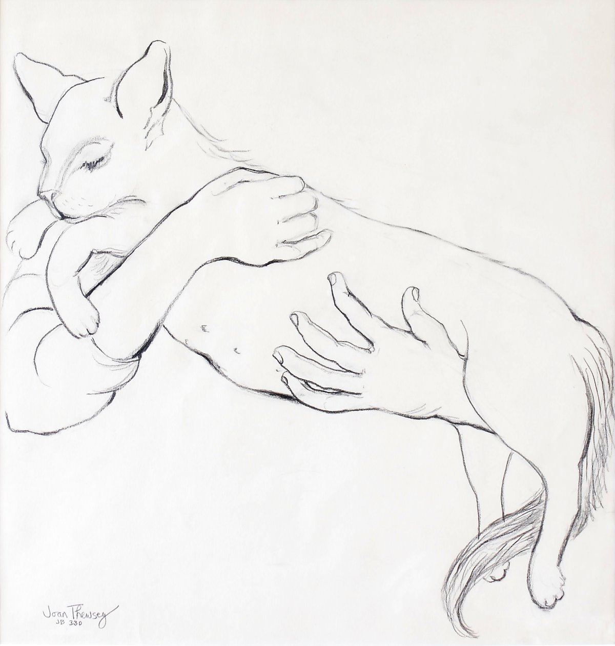 Cuddly Cat, 2000 by Joan Thewsey