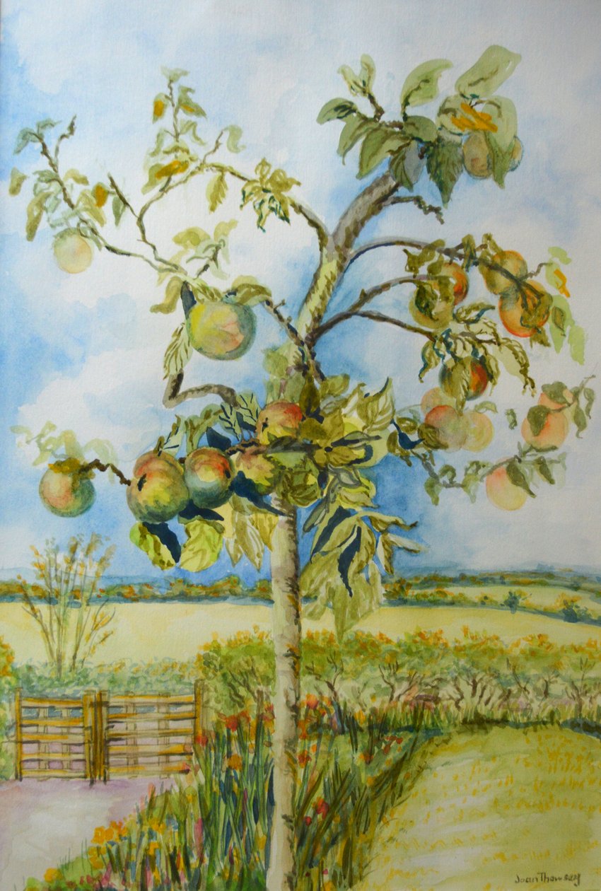 The Apple Tree, 2001 by Joan Thewsey