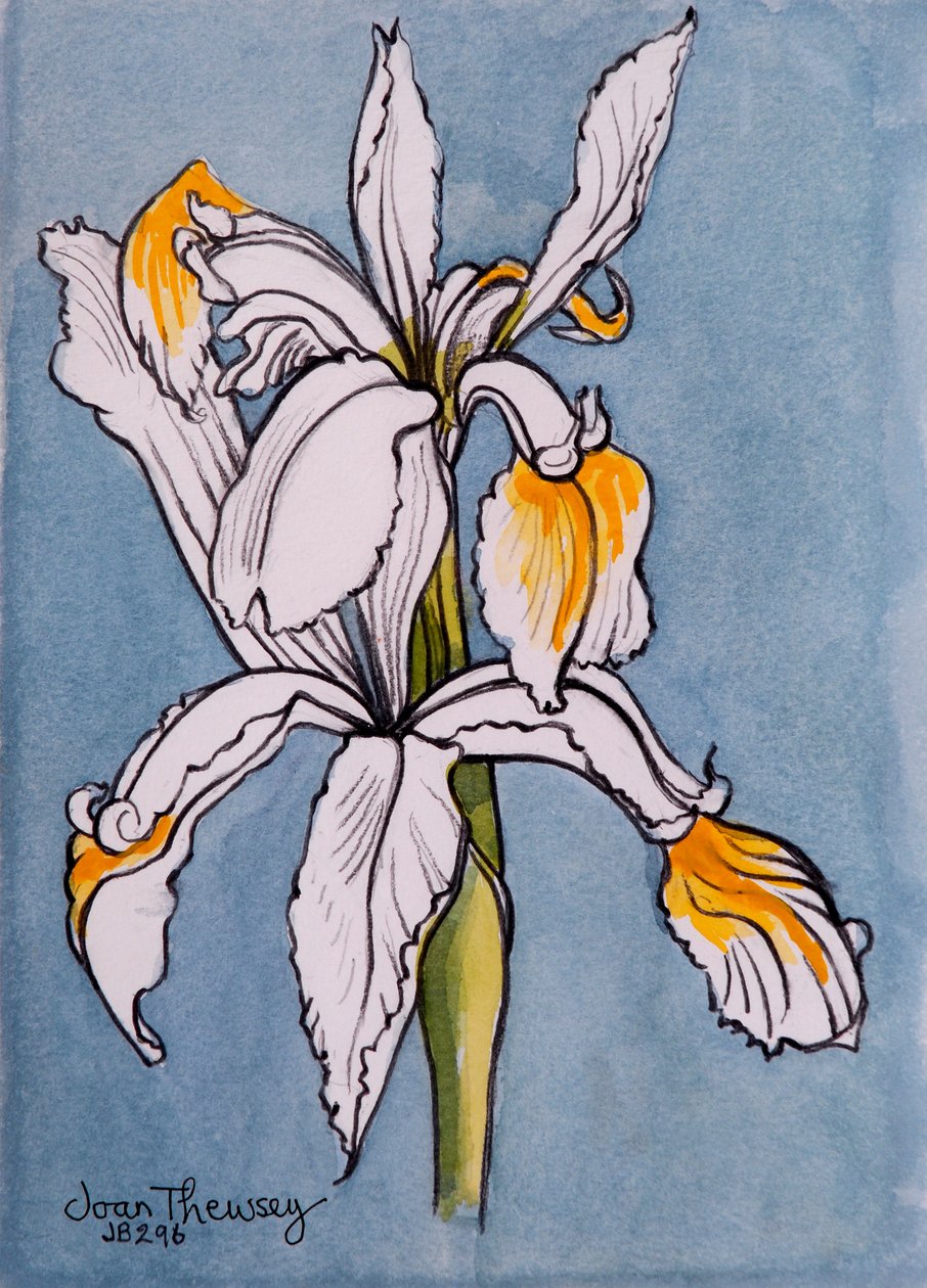 Two Irises by Joan Thewsey
