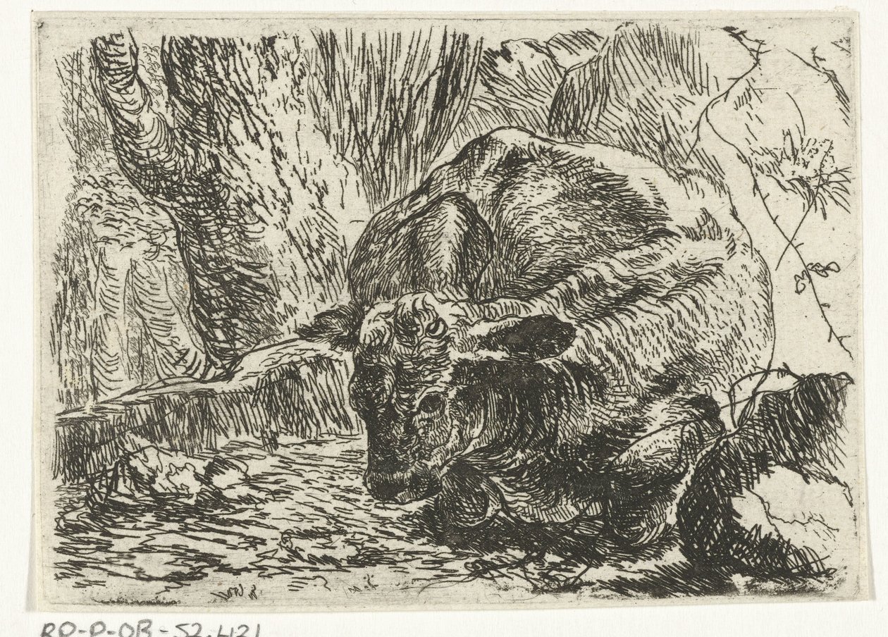 Cow by Joannes Fijt