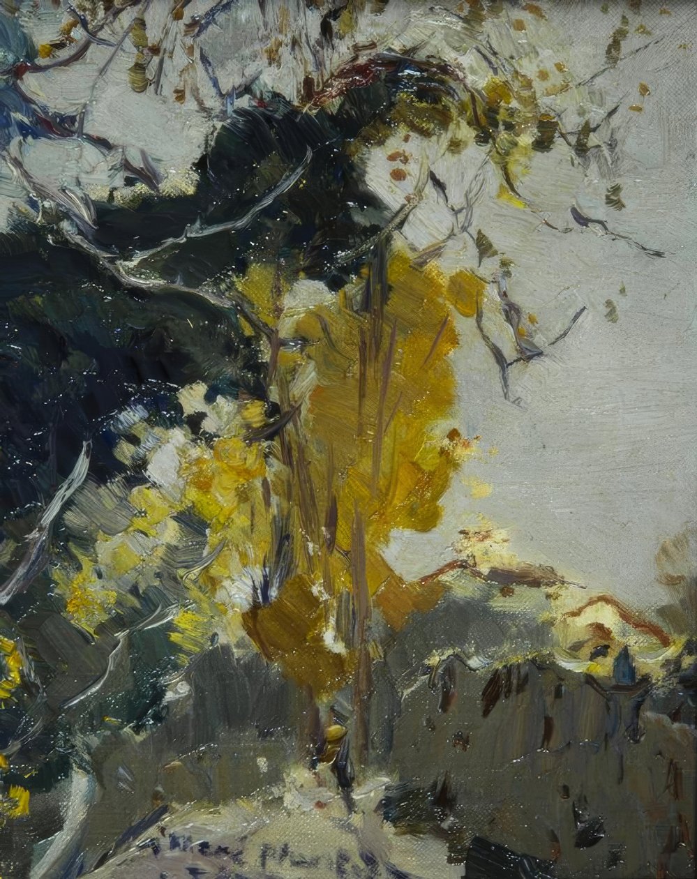 Tree by Joaquim Mir i Trinxet