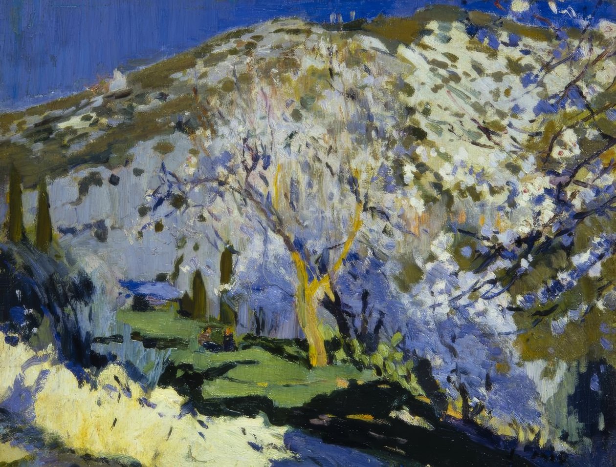 Landscape by Joaquim Mir i Trinxet