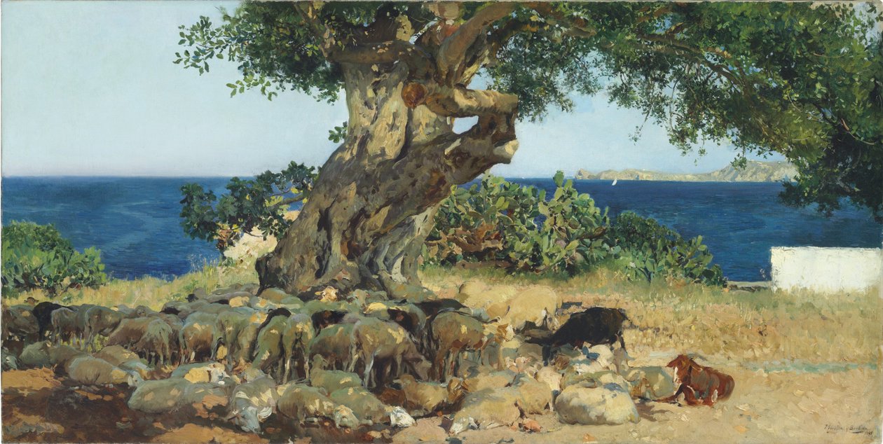 Carob Tree by Joaquín Sorolla