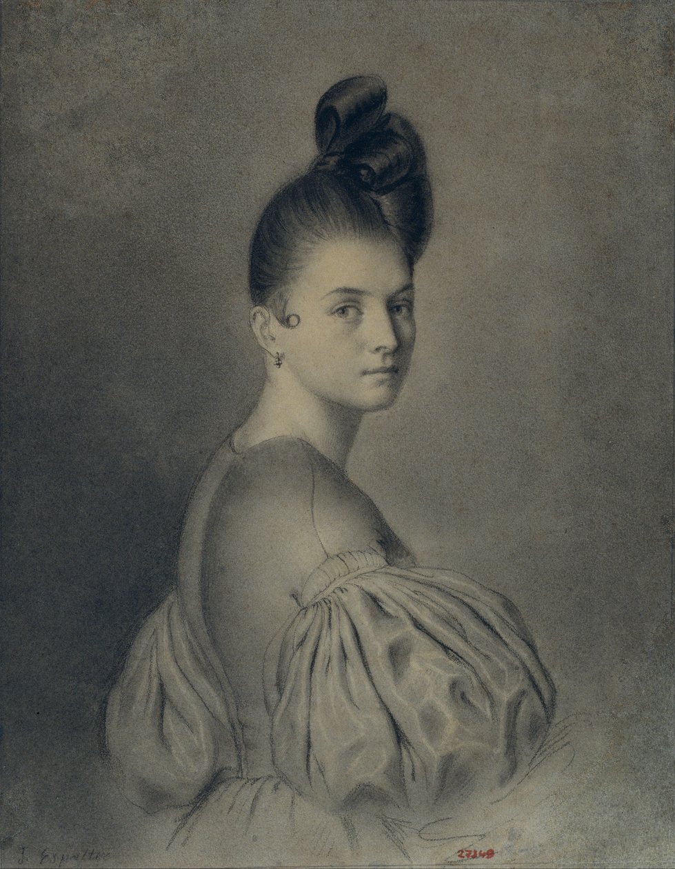 Portrait of a Lady by Joaquín Espalter y Rull