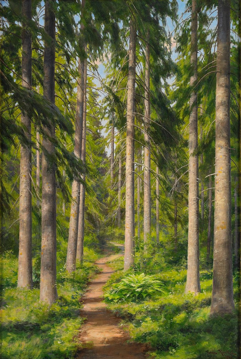 Sunlit Forest Path by Johan Fredrik Krouthen
